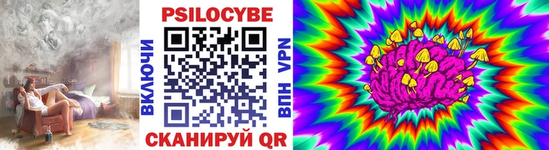 Галлюциногенные грибы мухоморы  хочу   маркетплейс какой сайт  Коломна 