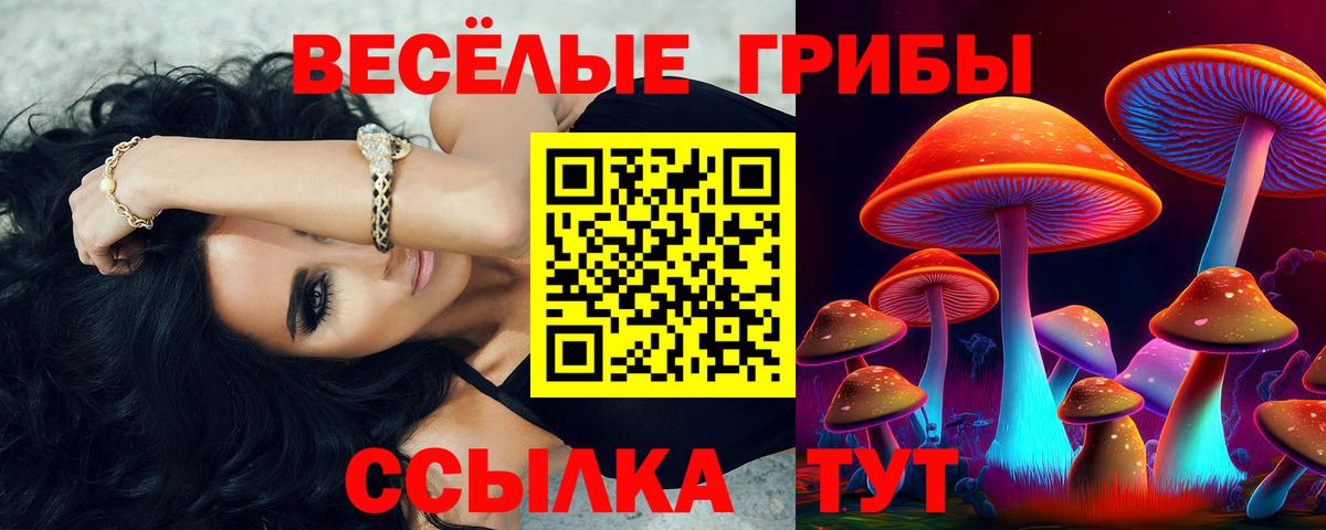 цена наркотик  Галлюциногенные грибы мицелий  Вход с VPN  Коломна 